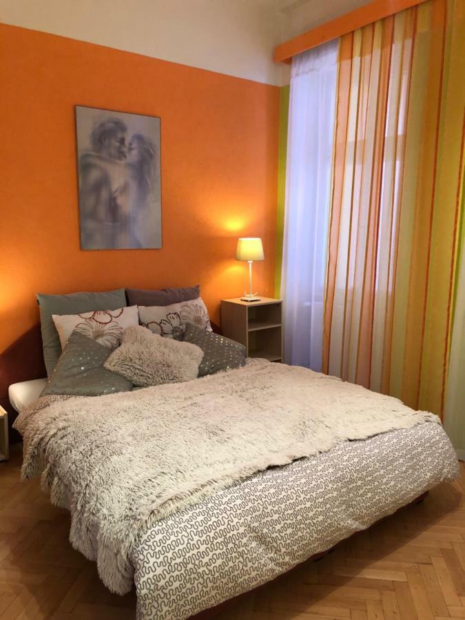 Apartman Orchidej U Vridla カルロヴィ・ヴァリ エクステリア 写真