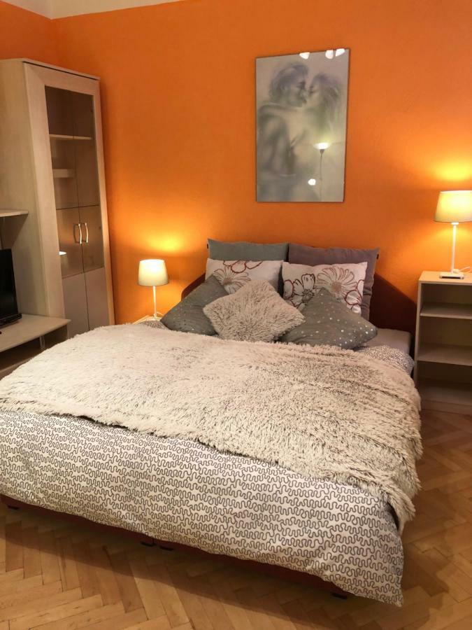 Apartman Orchidej U Vridla カルロヴィ・ヴァリ エクステリア 写真