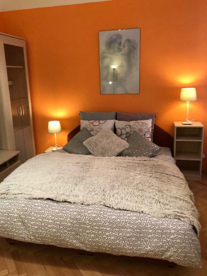Apartman Orchidej U Vridla カルロヴィ・ヴァリ エクステリア 写真