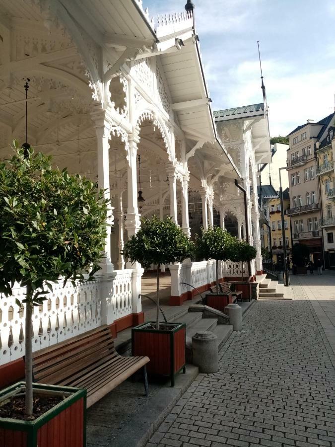 Apartman Orchidej U Vridla カルロヴィ・ヴァリ エクステリア 写真