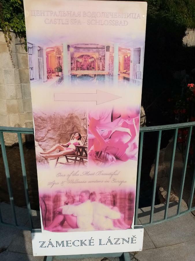 Apartman Orchidej U Vridla カルロヴィ・ヴァリ エクステリア 写真