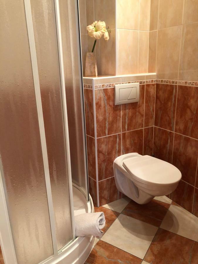 Apartman Orchidej U Vridla カルロヴィ・ヴァリ エクステリア 写真
